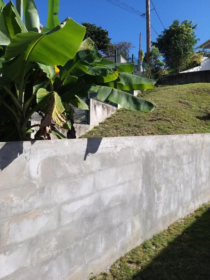 Aquaverde Eco Et Confort- Bas De Villa Avec Jardin Et Parking Le Gosier  Exteriér fotografie